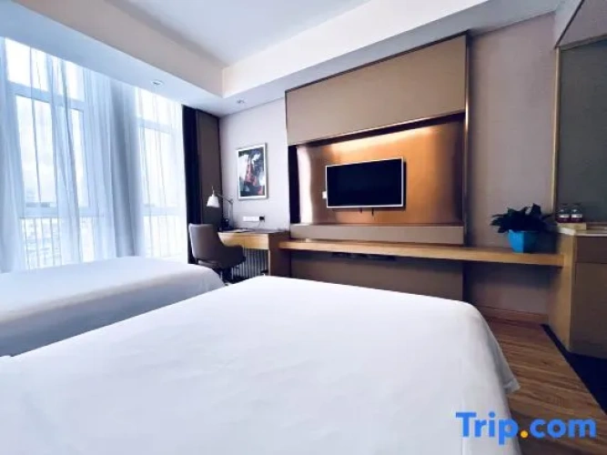 Deluxe Twin Family room