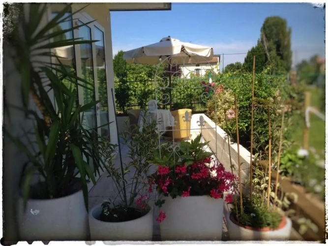 Deluxe Double Basement room with garden view