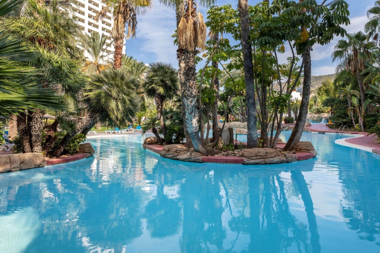 Melia Benidorm photo 22