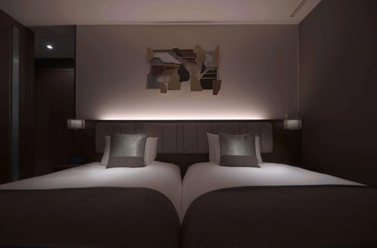 HOTEL THE CELESTINE GINZAOver view