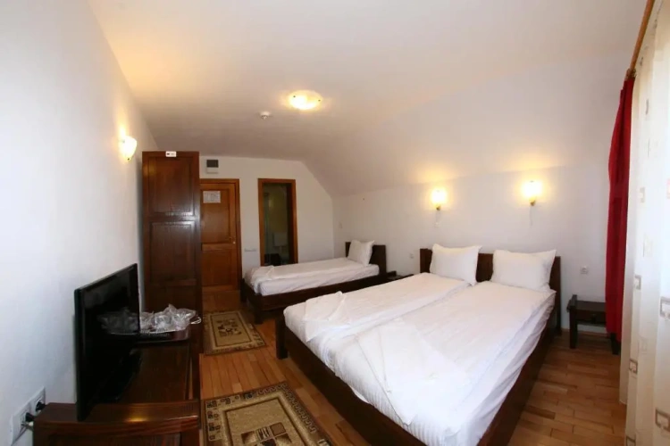 Standard Double room with balcony and with view