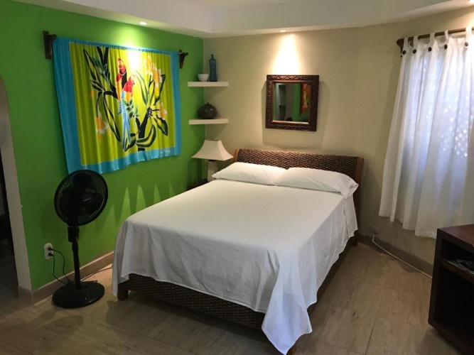 Junior room with garden view
