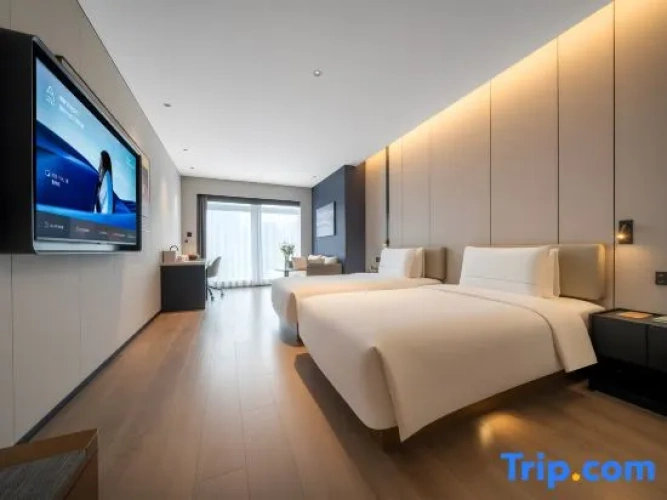 Executive Twin room with city view