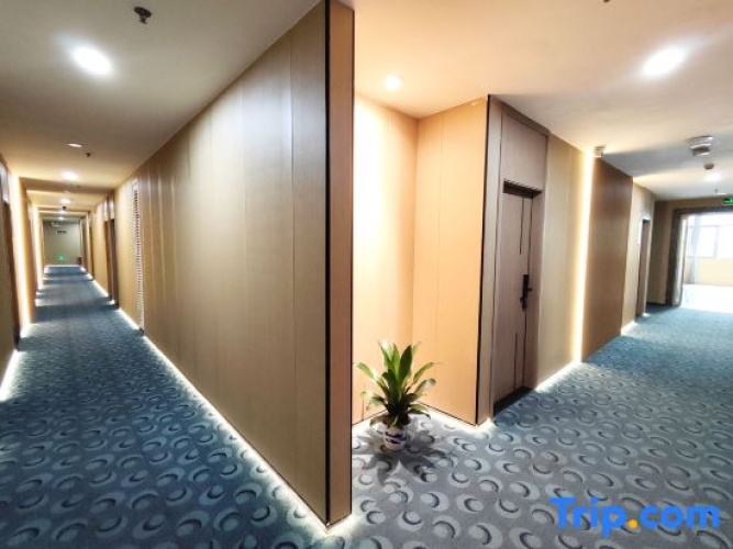 Hotel rooms