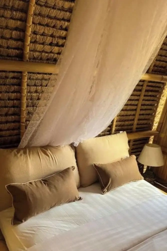 Standard Double room with garden view