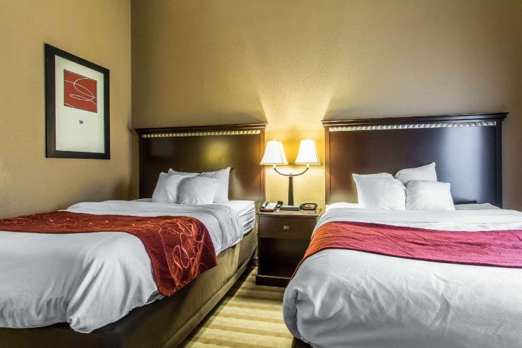 Quadruple Suite