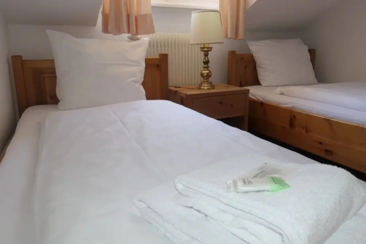 Economy Twin room