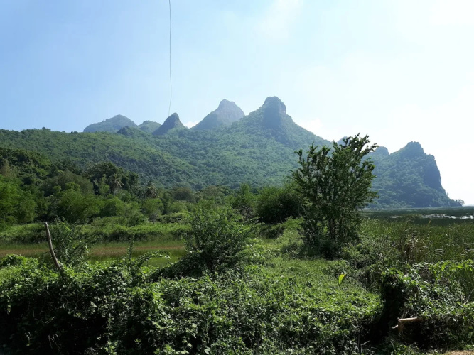 Lung Cha Homestay