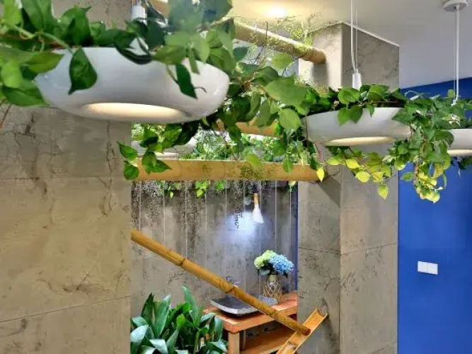 Wuzhen Lanshe Design Hotel