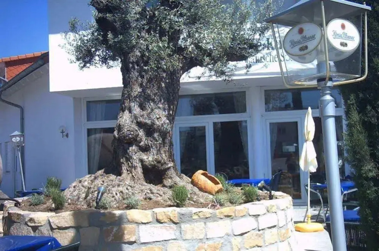 Hotel Restaurant Artemis