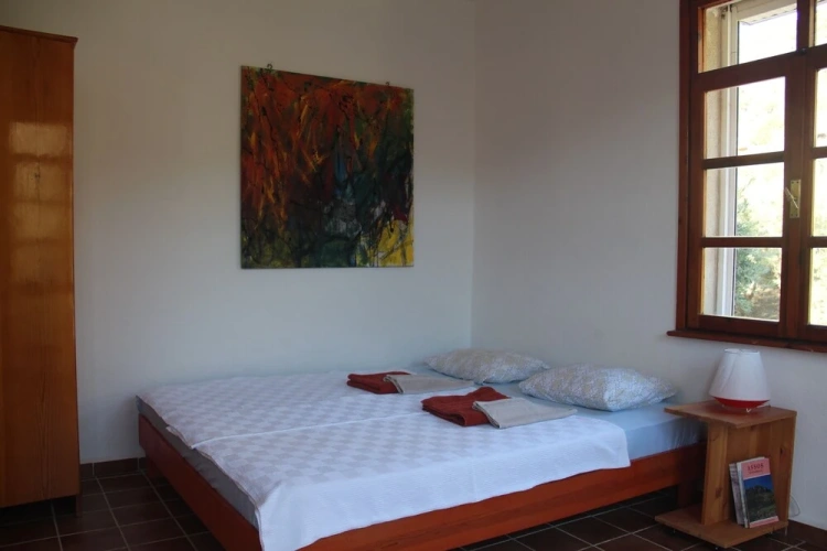 Standard room with land view