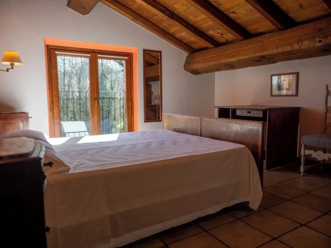 Standard Double room with garden view