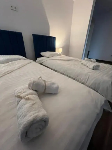 Aparthotel Plevnei4