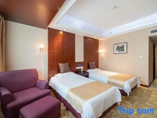 Standard Twin room with city view