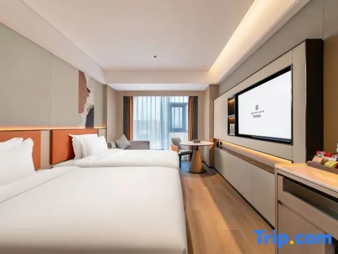 Standard Twin room with city view
