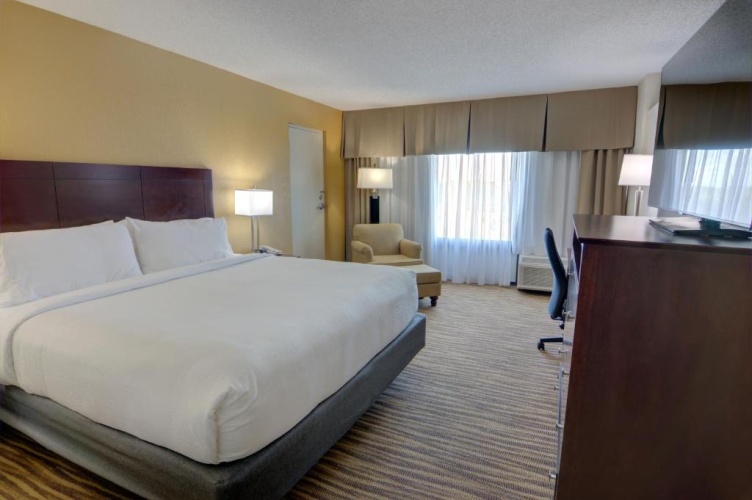 Single Suite