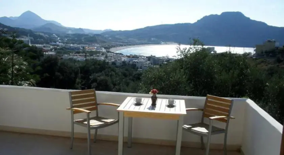 Olive Grove