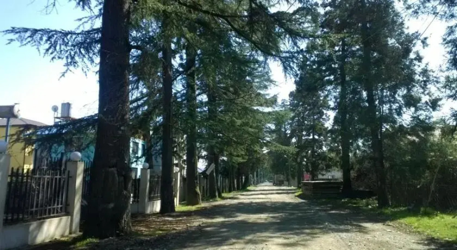Holiday Home Ureki