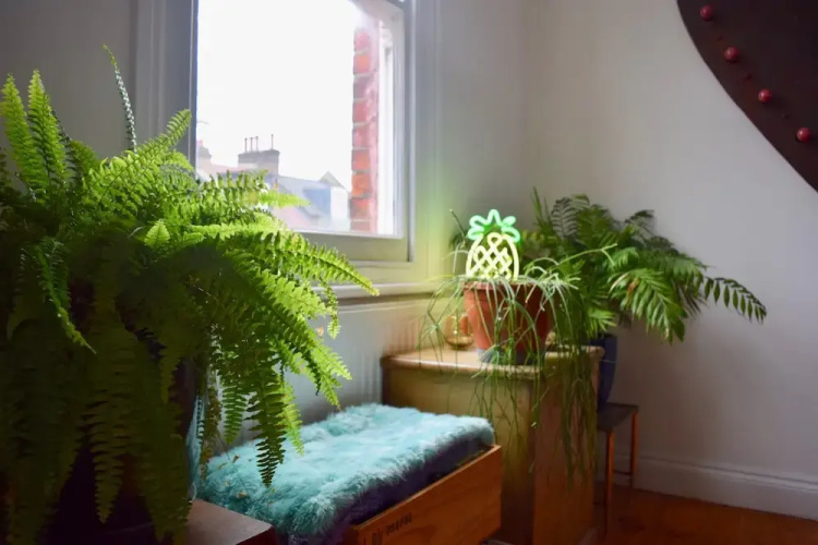 Stylish and Spacious 1 Bed Flat in Hackney