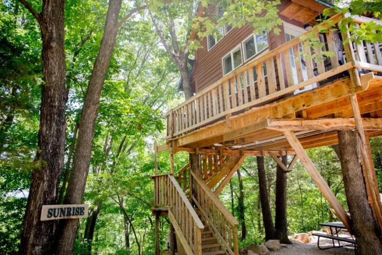 The Cottage Treehouses