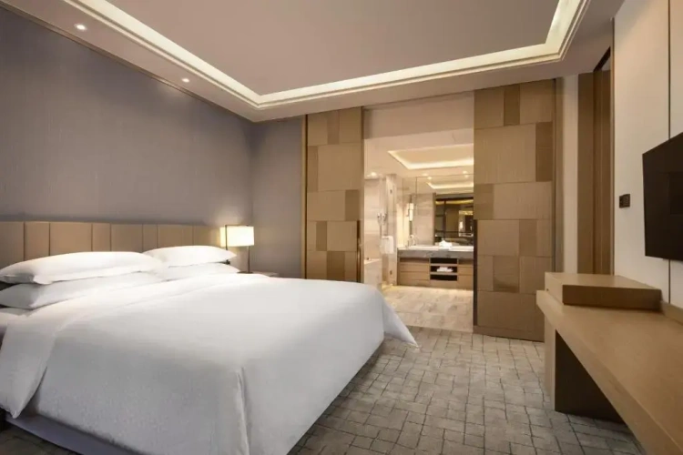 1 Bedroom Double Suite with city view
