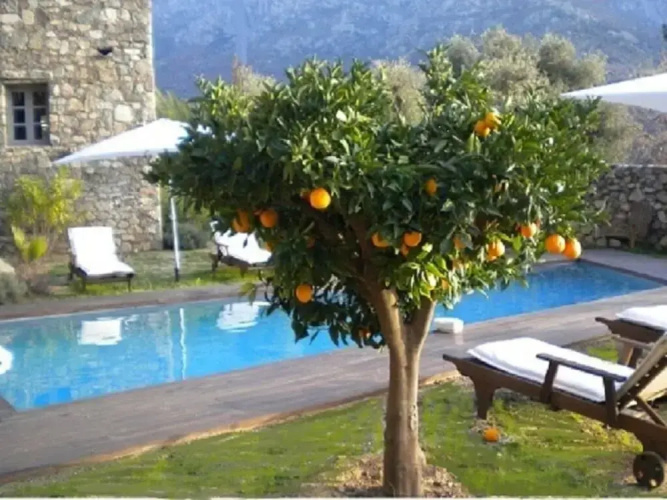 Holiday Home Bomorto
