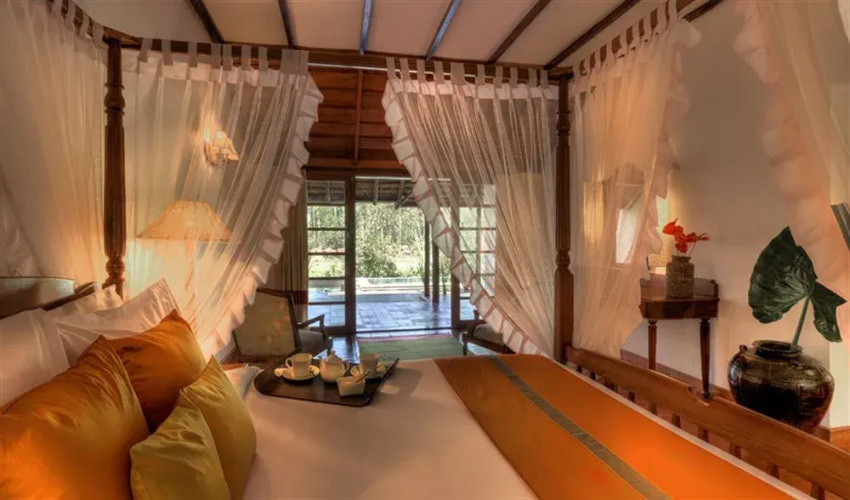 Evolve Back, Coorg