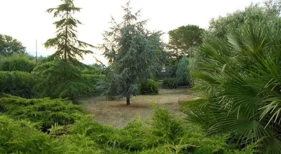Acireale Tra l'Etna e il Mare
