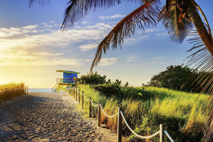 Kimpton Angler's South Beach photo 27