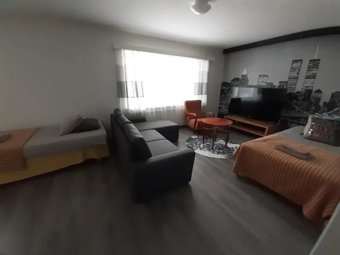 Deluxe Apartment