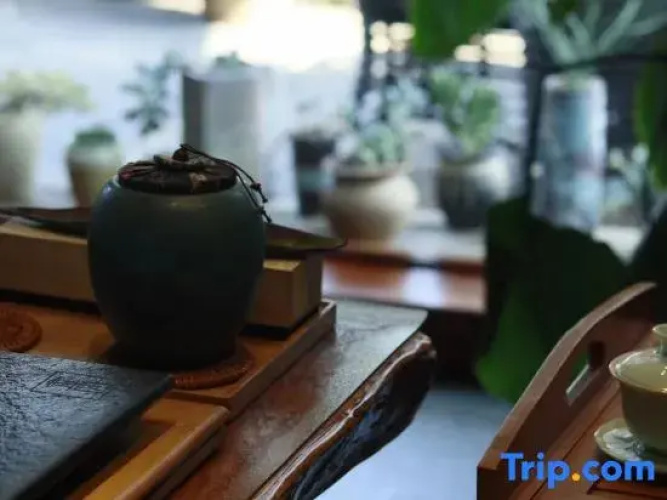 Phoenix Youran Qingsu Hotel
