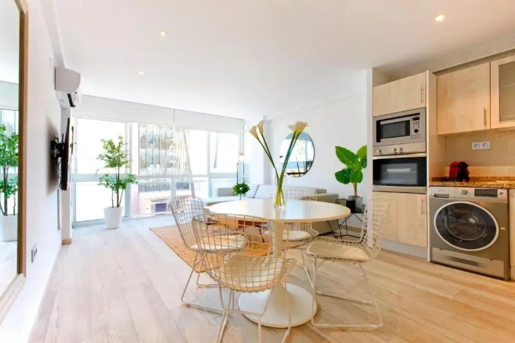 1 Bedroom Apartment