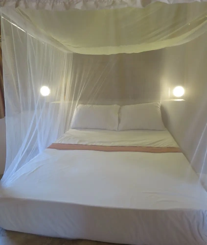 1 Bedroom Standard Apartment