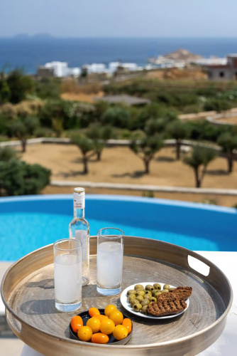 Villa Hadi