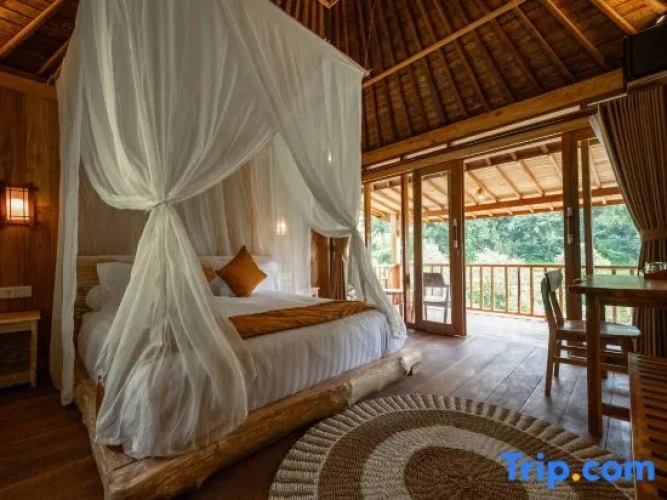 1 Bedroom Standard Double room