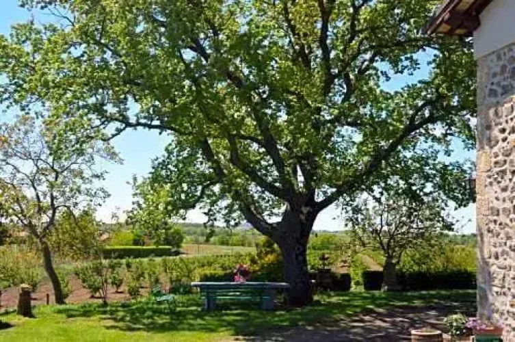 La Casa Del Nonno