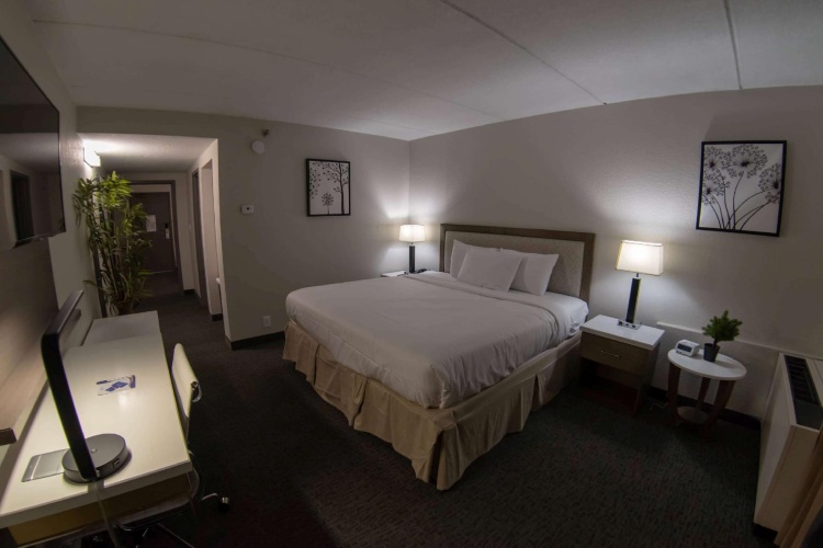 Luxury Double Suite