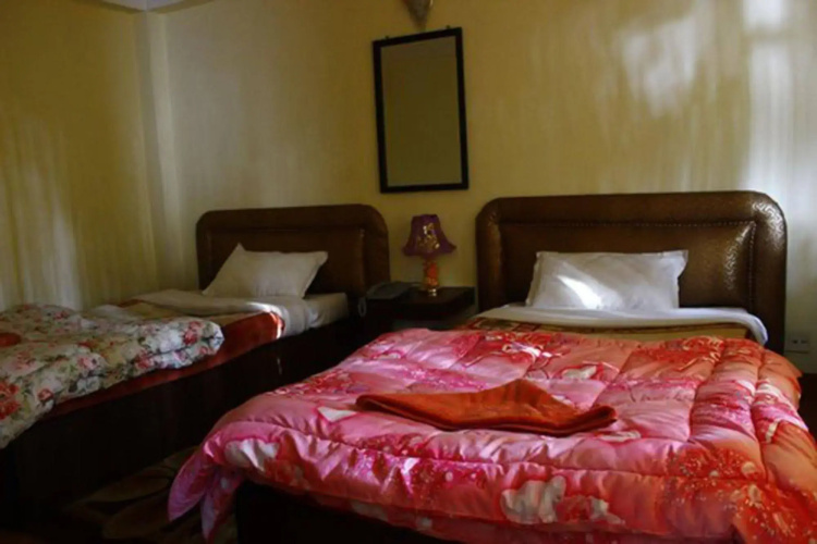 Hotel Holy Temple Tree