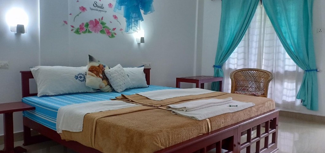 Deluxe Double room with balcony and with view