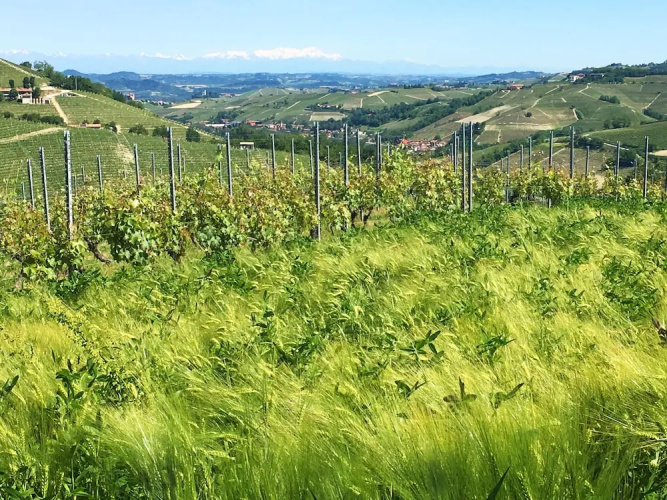 Agriturismo Rivetto