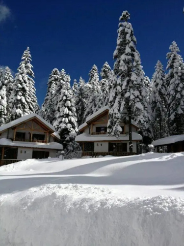 Saint George Holiday Village