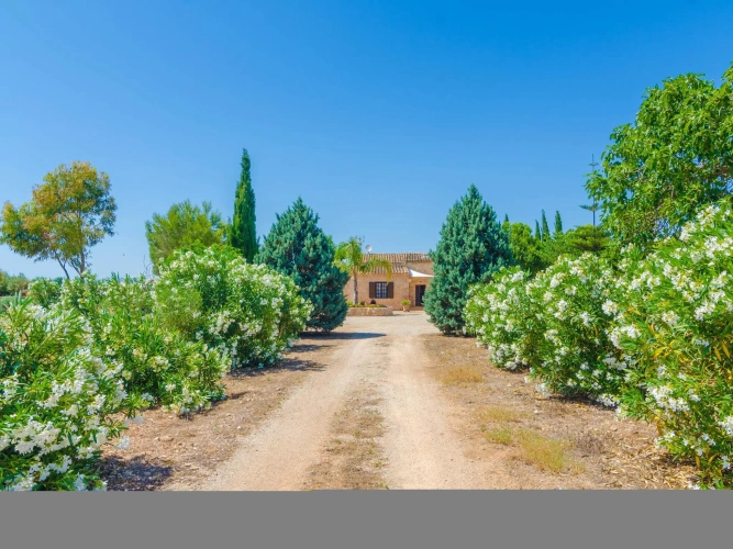 3 Bedrooms Double Villa