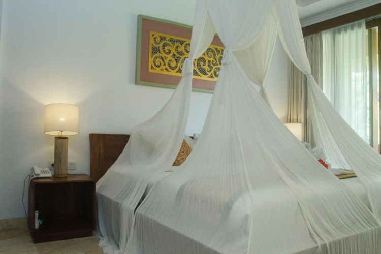 Deluxe Twin room with pool view