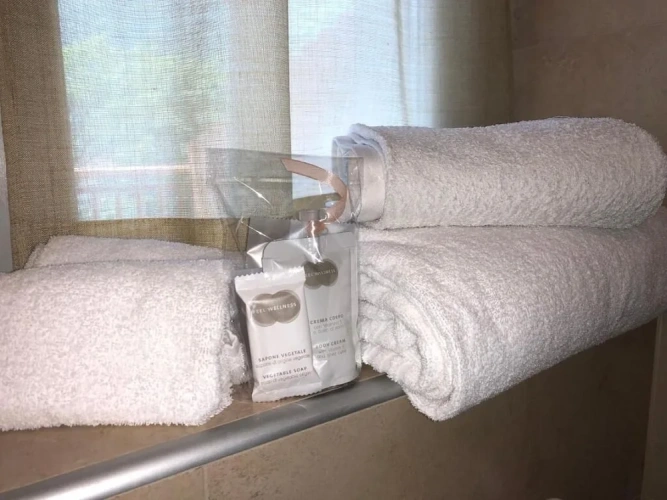 Standard Single room with balcony and with mountain view