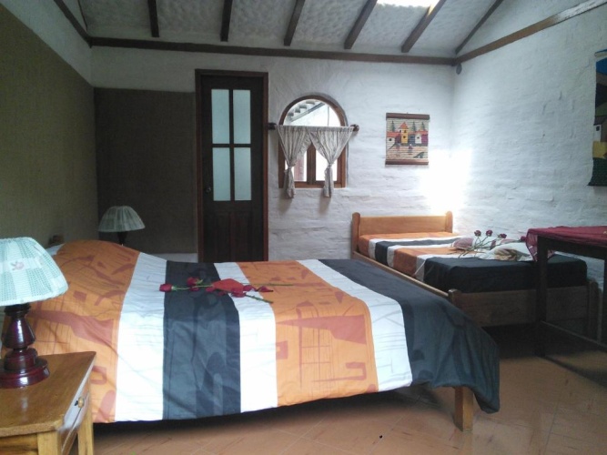 Economy Single room with garden view