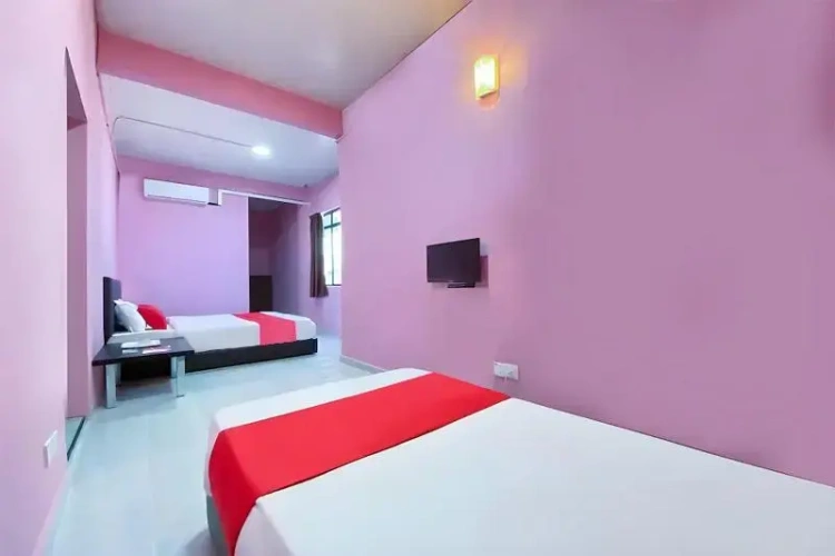 Standard Suite