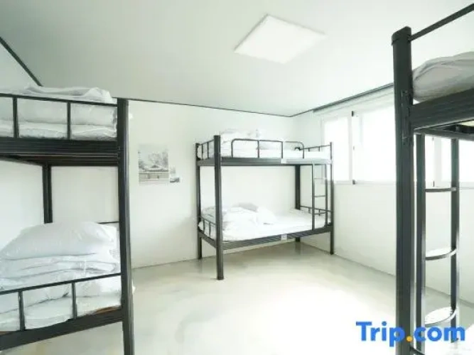 6 Bedrooms Bed in Dorm (female dorm)