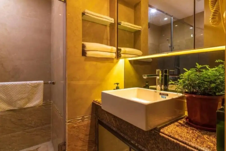 Deluxe Twin room with city view
