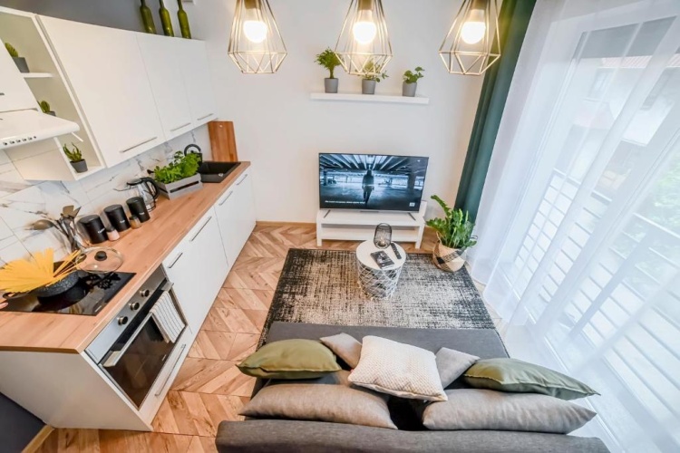 1 Bedroom Apartment