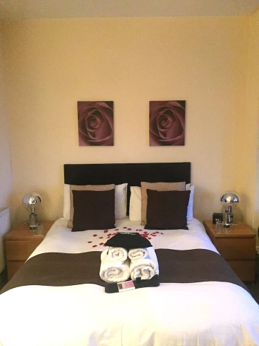 1 Bedroom Studio
